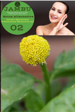 Load image into Gallery viewer, Nativilis Jambu Spilanthol Amazonian Bioactive Oil - Spilanthes Acmella Oleracea Extract - 100% Natural and Pure Botox Alternative - Relax facial muscles reduce wrinkles and fine lines improve skin firmness antioxidant properties Copaiba - 30 ml
