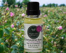 Load image into Gallery viewer, Nativilis Organic Rose Otto Essential Oil (Rosa damascena) - 100% Pure and Natural - 30ml - (GC/MS Tested) -