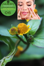 Load image into Gallery viewer, Nativilis Jambu Spilanthol Amazonian Bioactive Oil - Spilanthes Acmella Oleracea Extract - 100% Natural and Pure Botox Alternative - Relax facial muscles reduce wrinkles and fine lines improve skin firmness antioxidant properties Copaiba - 30 ml