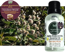 Load image into Gallery viewer, Nativilis Candeia Essential Oil Natural Alpha Bisabolol 95% (Eremanthus erythropappus) - Sesquiterpene – Vegan - Antibacterial Anti-inflammatory - Skin-Smoothing - Wound Healing Nociceptive Properties - Copaiba