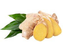 Load image into Gallery viewer, Nativilis Ginger Root Essential Oil (Zingiber Officinale ) - Anti-inflammatory relieve nausea - promote hair health and growth and skin care - Copaiba properties 30ml