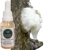 Load image into Gallery viewer, Nativilis Brazilian Frankincense - Breu Branco - Protium heptaphyllum - Amazonian natural oil Copaiba properties anti-inflammatory antiseptic analgesic soothing exfoliant for dry and oily skin - 30ml