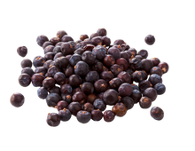 Load image into Gallery viewer, Nativilis Juniper Berries Organic Essential Oil 30 ml (Juniperus communis ) - High in nutrients and powerful plant compounds anti-inflammatory antioxidant antifungal activity - Copaiba Properties