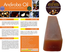 Load image into Gallery viewer, Nativilis Amazonian Soap Base 3KG - ANDIROBA 1KG - BACURI 1KG - BRAZIL NUT 1KG - Natural Vegan Emollient Face Skin Body Moisturises Cleanses No Chemicals Additives, Colours or Lauryl - Melt and Pour