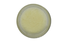 Load image into Gallery viewer, Nativilis Murumuru Butter Virgin Deodorized (Astrocaryum murumuru) Amazonian Rainforest Collection - Skin Hair Care Natural Moisturizer – Less frizzy hair - Won’t clog your pores – Copaiba properties