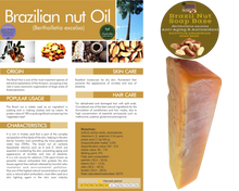 Load image into Gallery viewer, Nativilis Amazonian Soap Base 3KG - ANDIROBA 1KG - BACURI 1KG - BRAZIL NUT 1KG - Natural Vegan Emollient Face Skin Body Moisturises Cleanses No Chemicals Additives, Colours or Lauryl - Melt and Pour