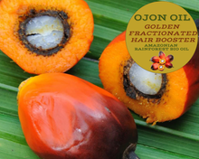 Load image into Gallery viewer, Nativilis Ojon Caiaue GOLDEN FRACTIONATED Oil - (Elaeis oleifera) NATURAL HAIR SKIN BOOSTER Rainforest Virgin Oil - revitalizes damaged follicles helps effective hair growth volumize and get tame frizz – Copaiba