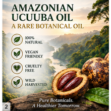 Load image into Gallery viewer, Nativilis Ucuuba Oil – 100% Pure Virola Surinamensis Seed Oil – Cold Pressed & Fractionated – 30 ml