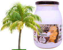 Load image into Gallery viewer, Nativilis Organic Coconut Oil 1L (Cocos Nucifera) - Extra Virgin, Raw, Cold Pressed, Pro Derma, Moisturizer Skin Hair, Vegan, 100% Natural, Ethically Sourced, Copaiba Properties, 1000ml Glass Jar (1L)