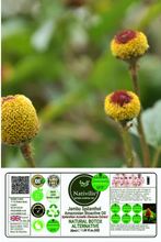 Load image into Gallery viewer, Nativilis Jambu Spilanthol Amazonian Bioactive Oil - Spilanthes Acmella Oleracea Extract - 100% Natural and Pure Botox Alternative - Relax facial muscles reduce wrinkles and fine lines improve skin firmness antioxidant properties Copaiba - 30 ml