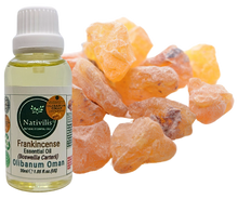 Load image into Gallery viewer, Nativilis Frankincense Carterii Olibanum Oil Oman (Boswellia Carterii ) - natural anti-acne anti-wrinkle improve oral hygiene prevent gum disease antibacterial properties - Copaiba properties 30ml Media 1 of 36