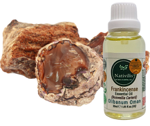 Load image into Gallery viewer, Nativilis Frankincense Carterii Olibanum Oil Oman (Boswellia Carterii ) - natural anti-acne anti-wrinkle improve oral hygiene prevent gum disease antibacterial properties - Copaiba properties 30ml Media 1 of 36