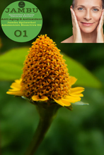 Load image into Gallery viewer, Nativilis Jambu Spilanthol Amazonian Bioactive Oil - Spilanthes Acmella Oleracea Extract - 100% Natural and Pure Botox Alternative - Relax facial muscles reduce wrinkles and fine lines improve skin firmness antioxidant properties Copaiba - 30 ml