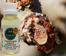 Load image into Gallery viewer, Nativilis Frankincense Carterii Olibanum Oil Oman (Boswellia Carterii ) - natural anti-acne anti-wrinkle improve oral hygiene prevent gum disease antibacterial properties - Copaiba properties 30ml Media 1 of 36