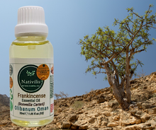 Load image into Gallery viewer, Nativilis Frankincense Carterii Olibanum Oil Oman (Boswellia Carterii ) - natural anti-acne anti-wrinkle improve oral hygiene prevent gum disease antibacterial properties - Copaiba properties 30ml Media 1 of 36