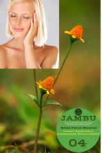 Load image into Gallery viewer, Nativilis Jambu Spilanthol Amazonian Bioactive Oil - Spilanthes Acmella Oleracea Extract - 100% Natural and Pure Botox Alternative - Relax facial muscles reduce wrinkles and fine lines improve skin firmness antioxidant properties Copaiba - 30 ml
