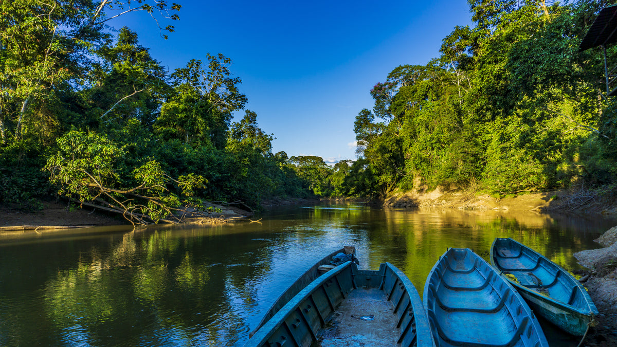 Preserving the Future Our supplier is located in the Amazonian rainforest with easy access to the forest communities living in the basin on the river banks of innumerous Amazonian rivers  and has a wealth of oilseed diversity.