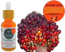 Load image into Gallery viewer, Nativilis Ojon Oil - Caiaue - (Elaeis oleifera) NATURAL HAIR SKIN BOOSTER Rainforest Virgin Oil - revitalizes damaged follicles helps effective hair growth volumize and get tame frizz – Copaiba
