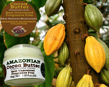 Load image into Gallery viewer, Nativilis Amazonian Cocoa Butter Raw Unscented Fragrance Free (Theobroma cacao) Skin Natural Moisturizer Replenishing skin's moisture protecting your skin improving elasticity – Copaiba properties