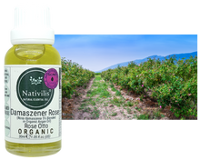 Load image into Gallery viewer, Nativilis Organic Rose Otto Essential Oil Blend 5% (Rosa damascena/Argania spinosa) - 100% Natural - 30ml - (GC/MS Tested)