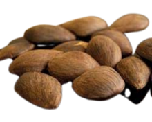 Load image into Gallery viewer, Nativilis AMAZONIAN LIP BALM DOUBLE ACTION FORMULA WITH PRACAXI SEED OIL (Pentaclethra macroloba) + BACURI BUTTER (Platonia insignis) Moisturises Dry Lips and Heals Chapped Lips - Toned Lips - Copaiba