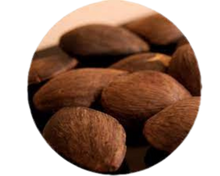 Load image into Gallery viewer, Nativilis AMAZONIAN LIP BALM DOUBLE ACTION FORMULA WITH PRACAXI SEED OIL (Pentaclethra macroloba) + BACURI BUTTER (Platonia insignis) Moisturises Dry Lips and Heals Chapped Lips - Toned Lips - Copaiba