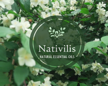 Load image into Gallery viewer, Nativilis Organic Tea Tree Essential Oil (Melaleuca alternifolia) - 100% Natural - 30ml - (GC/MS Tested)