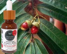 Load image into Gallery viewer, Nativilis Amazonian Dragon’s Blood (trilipid complex enriched) Virgin Rainforest Bio Oil - UCUUBA - BACURI – PRACAXI – anti-stretch marks properties stimulating the production of collagen - Copaiba