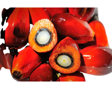 Load image into Gallery viewer, Nativilis Ojon Oil - Caiaue - (Elaeis oleifera) NATURAL HAIR SKIN BOOSTER Rainforest Virgin Oil - revitalizes damaged follicles helps effective hair growth volumize and get tame frizz – Copaiba