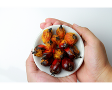 Load image into Gallery viewer, Nativilis Ojon Oil - Caiaue - (Elaeis oleifera) NATURAL HAIR SKIN BOOSTER Rainforest Virgin Oil - revitalizes damaged follicles helps effective hair growth volumize and get tame frizz – Copaiba