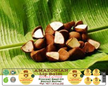 Load image into Gallery viewer, Nativilis AMAZONIAN LIP BALM DOUBLE ACTION FORMULA WITH PRACAXI SEED OIL (Pentaclethra macroloba) + BACURI BUTTER (Platonia insignis) Moisturises Dry Lips and Heals Chapped Lips - Toned Lips - Copaiba