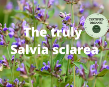 Load image into Gallery viewer, Nativilis Organic Clary Sage Essential Oil (Salvia sclarea) - 100% Natural - 30ml - (GC/MS Tested)