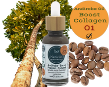 Load image into Gallery viewer, Nativilis URSOLIC ACID enriched with 04 Amazonian Rainforest Bio Oil - ANDIROBA BACURI PRACAXI TUCUMA - Relief skin injuries aesthetic processes peelings laser hair removals Soothing effect Copaiba