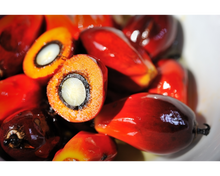 Load image into Gallery viewer, Nativilis Ojon Oil - Caiaue - (Elaeis oleifera) NATURAL HAIR SKIN BOOSTER Rainforest Virgin Oil - revitalizes damaged follicles helps effective hair growth volumize and get tame frizz – Copaiba