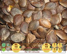 Load image into Gallery viewer, Nativilis AMAZONIAN LIP BALM DOUBLE ACTION FORMULA WITH PRACAXI SEED OIL (Pentaclethra macroloba) + BACURI BUTTER (Platonia insignis) Moisturises Dry Lips and Heals Chapped Lips - Toned Lips - Copaiba