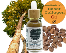 Load image into Gallery viewer, Nativilis TRIPALMITIN PLUS enriched with 03 Amazonian Rainforest Virgin Oil - ANDIROBA BACURI PRACAXI - Favours cellular renewal standardizing the tone - skin getting more illuminated revitalized and soft - Copaiba