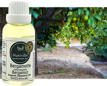Load image into Gallery viewer, Nativilis Organic Bergamot Essential Oil - (Citrus bergamia) - 100% Natural - 30ml - (GC/MS Tested)