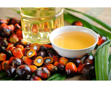 Load image into Gallery viewer, Nativilis Ojon Oil - Caiaue - (Elaeis oleifera) NATURAL HAIR SKIN BOOSTER Rainforest Virgin Oil - revitalizes damaged follicles helps effective hair growth volumize and get tame frizz – Copaiba