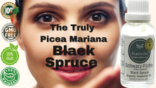 Load image into Gallery viewer, Nativilis Organic Black Spruce Essential Oil (Picea mariana) - 100% Natural - 30ml - (GC/MS Tested)