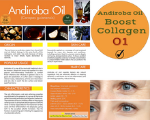 Load image into Gallery viewer, Nativilis URSOLIC ACID enriched with 04 Amazonian Rainforest Bio Oil - ANDIROBA BACURI PRACAXI TUCUMA - Relief skin injuries aesthetic processes peelings laser hair removals Soothing effect Copaiba