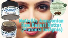 Load image into Gallery viewer, Nativilis Amazonian Raw Bacuri Butter (Platonia insignis) - Reduces the formation of redness emollient properties high absorption rate - anti-ageing stabilises collagen + elastin production – Copaiba