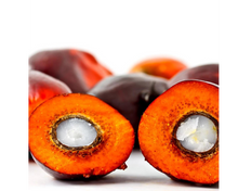 Load image into Gallery viewer, Nativilis Ojon Oil - Caiaue - (Elaeis oleifera) NATURAL HAIR SKIN BOOSTER Rainforest Virgin Oil - revitalizes damaged follicles helps effective hair growth volumize and get tame frizz – Copaiba