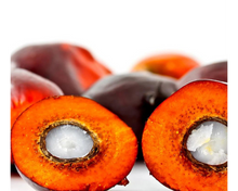 Load image into Gallery viewer, Nativilis Ojon Oil - Caiaue - (Elaeis oleifera) NATURAL HAIR SKIN BOOSTER Rainforest Virgin Oil - revitalizes damaged follicles helps effective hair growth volumize and get tame frizz – Copaiba