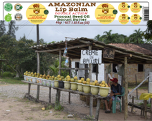 Load image into Gallery viewer, Nativilis AMAZONIAN LIP BALM DOUBLE ACTION FORMULA WITH PRACAXI SEED OIL (Pentaclethra macroloba) + BACURI BUTTER (Platonia insignis) Moisturises Dry Lips and Heals Chapped Lips - Toned Lips - Copaiba