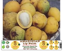 Load image into Gallery viewer, Nativilis AMAZONIAN LIP BALM DOUBLE ACTION FORMULA WITH PRACAXI SEED OIL (Pentaclethra macroloba) + BACURI BUTTER (Platonia insignis) Moisturises Dry Lips and Heals Chapped Lips - Toned Lips - Copaiba