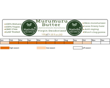 Load image into Gallery viewer, Nativilis Murumuru Butter Virgin Deodorized (Astrocaryum murumuru) Amazonian Rainforest Collection Skin Hair Care Moisturizer – Less frizzy hair - Noncomedogenic No pore blockages Copaiba properties