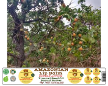 Load image into Gallery viewer, Nativilis AMAZONIAN LIP BALM DOUBLE ACTION FORMULA WITH PRACAXI SEED OIL (Pentaclethra macroloba) + BACURI BUTTER (Platonia insignis) Moisturises Dry Lips and Heals Chapped Lips - Toned Lips - Copaiba