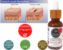 Load image into Gallery viewer, Nativilis Amazonian Dragon’s Blood (trilipid complex enriched) Virgin Rainforest Bio Oil - UCUUBA - BACURI – PRACAXI – anti-stretch marks properties stimulating the production of collagen - Copaiba