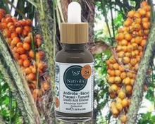 Load image into Gallery viewer, Nativilis URSOLIC ACID enriched with 04 Amazonian Rainforest Bio Oil - ANDIROBA BACURI PRACAXI TUCUMA - Relief skin injuries aesthetic processes peelings laser hair removals Soothing effect Copaiba