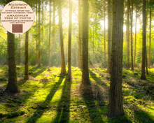 Load image into Gallery viewer, Nativilis MULATEIRO EXTRACT POWDER FROM THE SACRED CAPIRONA TREE- Calycophyllum spruceanum - AMAZONIAN TREE OF YOUTH - Skin and Hair Care - Anti-aging - Antifungal - Wound-healing properties - Copaiba